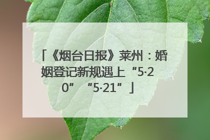 《烟台日报》莱州：婚姻登记新规遇上“5·20”“5·21”