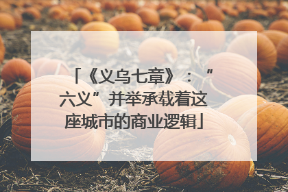 《义乌七章》：“六义”并举承载着这座城市的商业逻辑