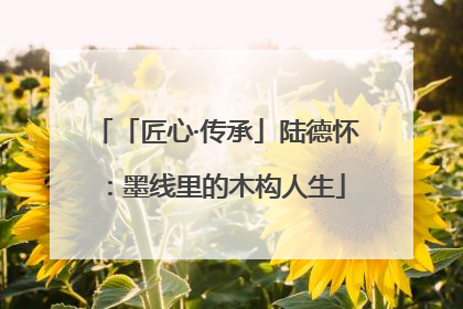 「匠心·传承」陆德怀：墨线里的木构人生
