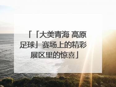 「大美青海 高原足球」赛场上的精彩 展区里的惊喜