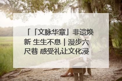 「文脉华章」非遗焕新 生生不息｜漫步六尺巷 感受礼让文化浸润的“巷”往生活