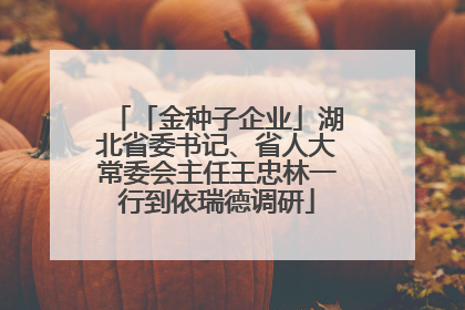 「金种子企业」湖北省委书记、省人大常委会主任王忠林一行到依瑞德调研