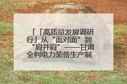「高质量发展调研行」从“面对面”到“肩并肩”——甘肃全利电力装备生产制造项目一线见闻