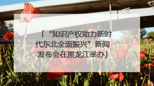 “知识产权助力新时代东北全面振兴”新闻发布会在黑龙江举办