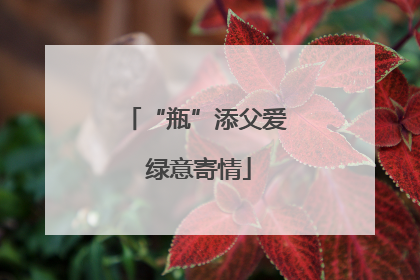 “瓶”添父爱 绿意寄情