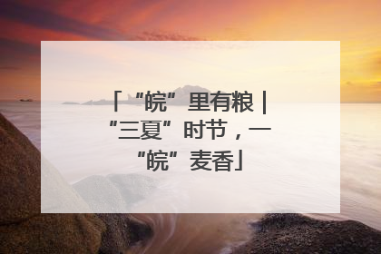“皖”里有粮｜“三夏”时节，一“皖”麦香
