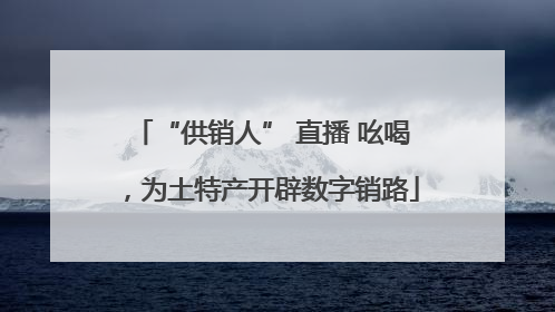 “供销人” 直播 吆喝，为土特产开辟数字销路