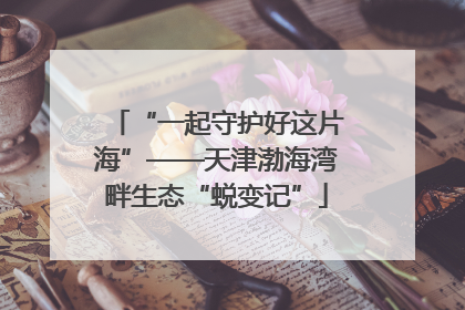 “一起守护好这片海”——天津渤海湾畔生态“蜕变记”