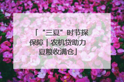 “三夏”时节探保障｜农机贷助力夏粮收满仓