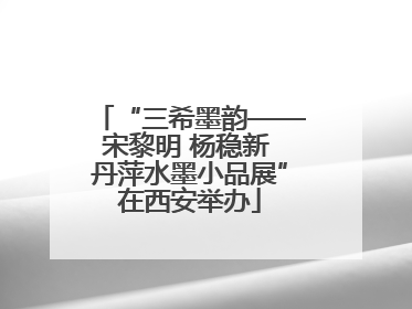 “三希墨韵——宋黎明 杨稳新 丹萍水墨小品展”在西安举办