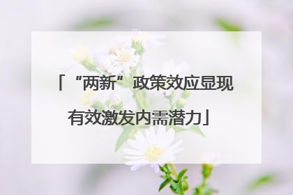 “两新”政策效应显现 有效激发内需潜力