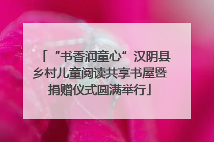“书香润童心”汉阴县乡村儿童阅读共享书屋暨捐赠仪式圆满举行