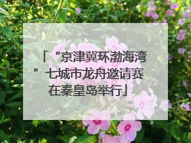 “京津冀环渤海湾”七城市龙舟邀请赛在秦皇岛举行