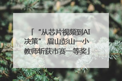 “从芯片视频到AI决策” 眉山彭山一小教师斩获市赛一等奖
