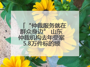 “仲裁服务就在群众身边” 山东仲裁机构去年受案5.8万件标的额604亿元