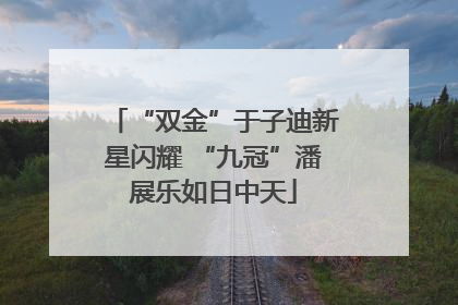“双金”于子迪新星闪耀 “九冠”潘展乐如日中天