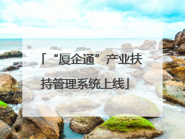 “厦企通”产业扶持管理系统上线