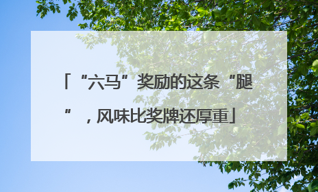 “六马”奖励的这条“腿”，风味比奖牌还厚重