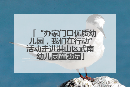 “办家门口优质幼儿园，我们在行动”活动走进洪山区武南幼儿园童趣园