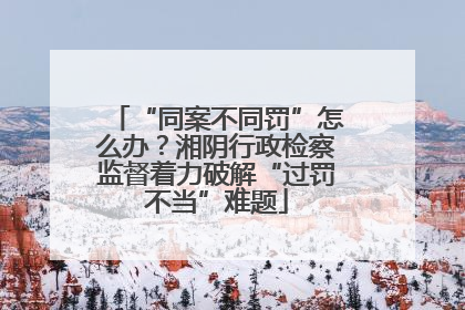 “同案不同罚”怎么办？湘阴行政检察监督着力破解“过罚不当”难题