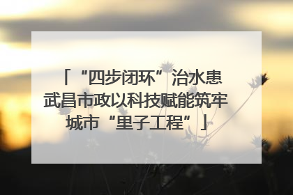 “四步闭环”治水患 武昌市政以科技赋能筑牢城市“里子工程”