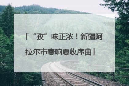 “孜”味正浓！新疆阿拉尔市奏响夏收序曲