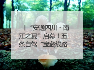 “安逸四川・南江之夏”启幕！五条自驾“宝藏线路”串联避暑胜地