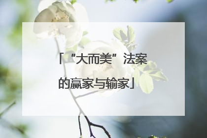 “大而美”法案的赢家与输家