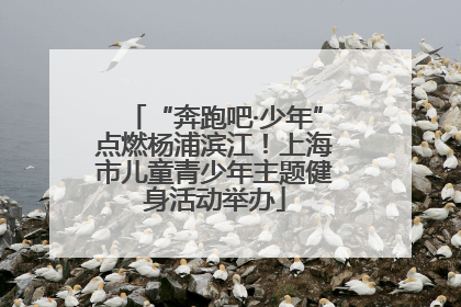 “奔跑吧·少年”点燃杨浦滨江！上海市儿童青少年主题健身活动举办
