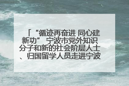 “循迹再奋进 同心建新功” 宁波市党外知识分子和新的社会阶层人士、归国留学人员走进宁波舟山港穿山港区