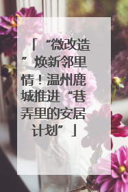 “微改造”焕新邻里情！温州鹿城推进“巷弄里的安居计划”