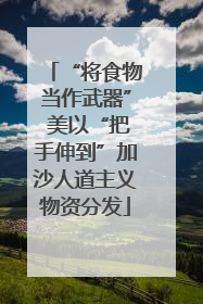“将食物当作武器” 美以“把手伸到”加沙人道主义物资分发