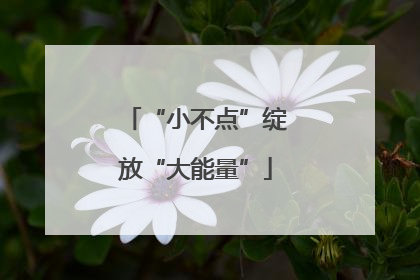 “小不点”绽放“大能量”