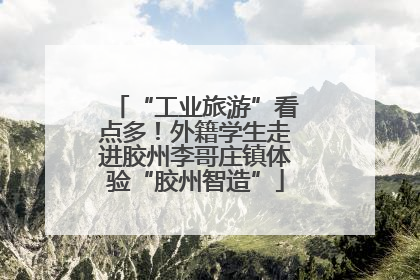 “工业旅游”看点多！外籍学生走进胶州李哥庄镇体验“胶州智造”
