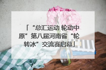 “总汇运动 轮动中原”第八届河南省“轮转冰”交流赛启幕