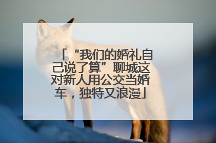 “我们的婚礼自己说了算”聊城这对新人用公交当婚车，独特又浪漫