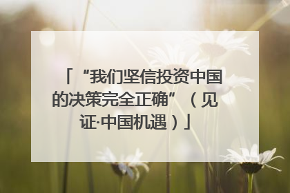 “我们坚信投资中国的决策完全正确”（见证·中国机遇）
