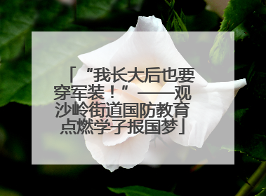 “我长大后也要穿军装！”——观沙岭街道国防教育点燃学子报国梦