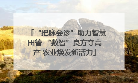 “把脉会诊”助力智慧田管 “数智”良方夺高产 农业焕发新活力