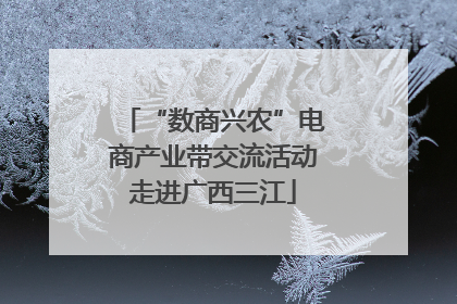 “数商兴农”电商产业带交流活动走进广西三江