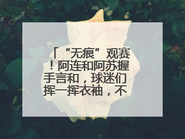 “无痕”观赛！阿连和阿苏握手言和，球迷们挥一挥衣袖，不留下一片云彩