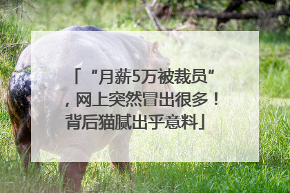 “月薪5万被裁员”，网上突然冒出很多！背后猫腻出乎意料