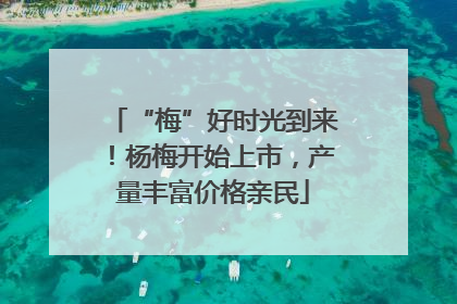 “梅”好时光到来！杨梅开始上市，产量丰富价格亲民