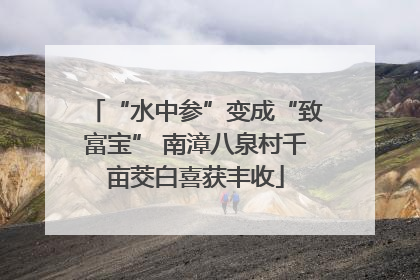 “水中参”变成“致富宝” 南漳八泉村千亩茭白喜获丰收