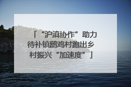 “沪滇协作”助力待补镇鹧鸡村跑出乡村振兴“加速度”