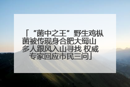 “菌中之王”野生鸡枞菌被传现身合肥大蜀山 多人跟风入山寻找 权威专家回应市民三问