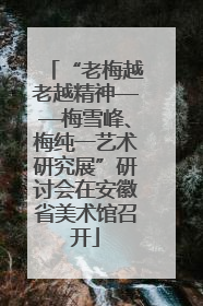 “老梅越老越精神——梅雪峰、梅纯一艺术研究展”研讨会在安徽省美术馆召开