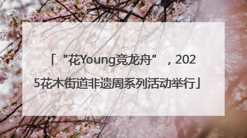 “花Young竞龙舟”，2025花木街道非遗周系列活动举行