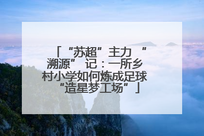 “苏超”主力 “溯源” 记：一所乡村小学如何炼成足球 “造星梦工场”