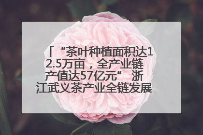 “茶叶种植面积达12.5万亩，全产业链产值达57亿元” 浙江武义茶产业全链发展“加速度”